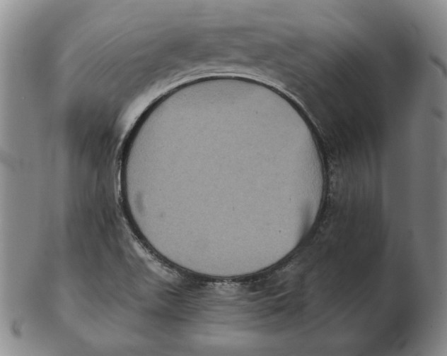 X0000102341511200808221619