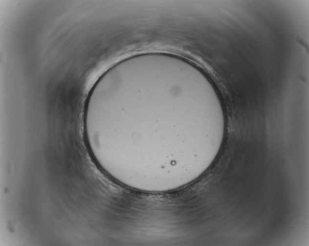 X0000102341512200808221619