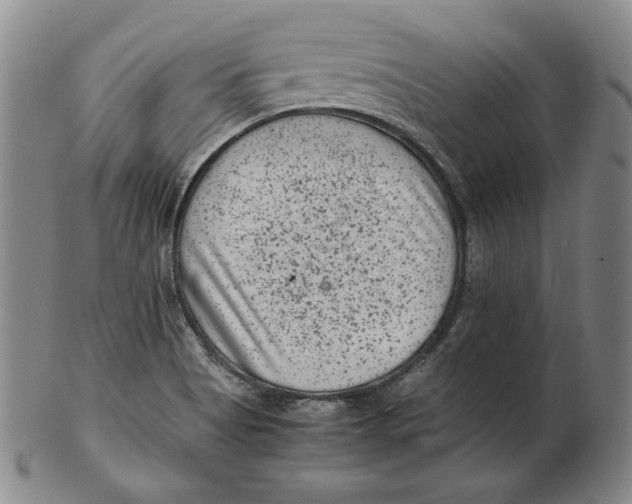 X0000102341513200808221619