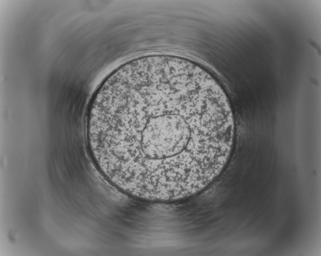 X0000102341514200808221619