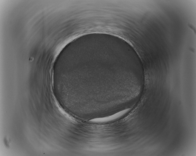 X0000102341515200808221619