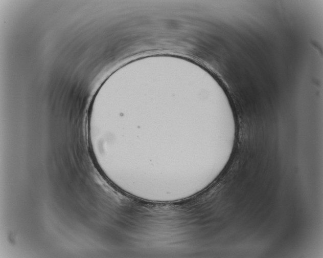 X0000102341516200808221619