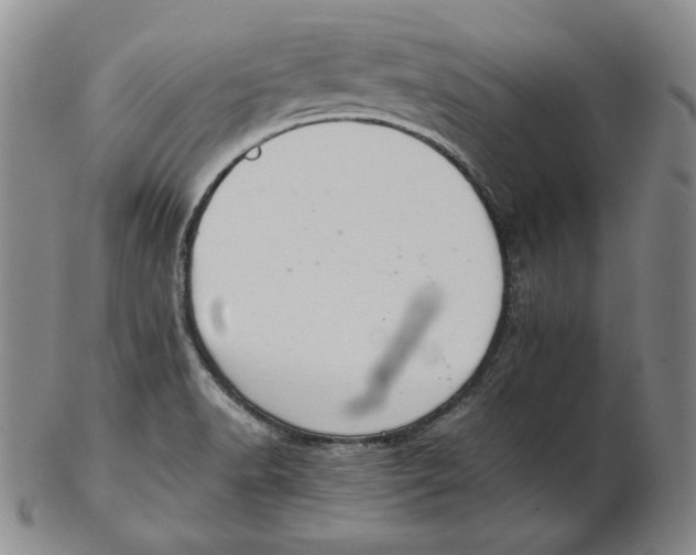 X0000102341518200808221619