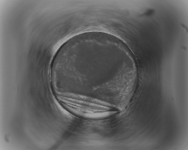 X0000102341519200808221619