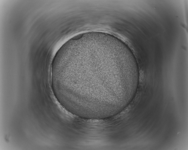 X0000102341520200808221619