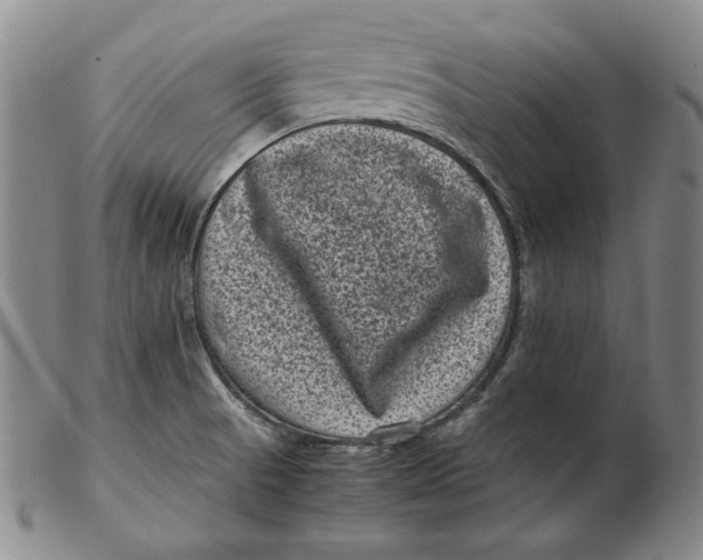 X0000102341521200808221619