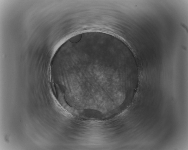 X0000102341522200808221619