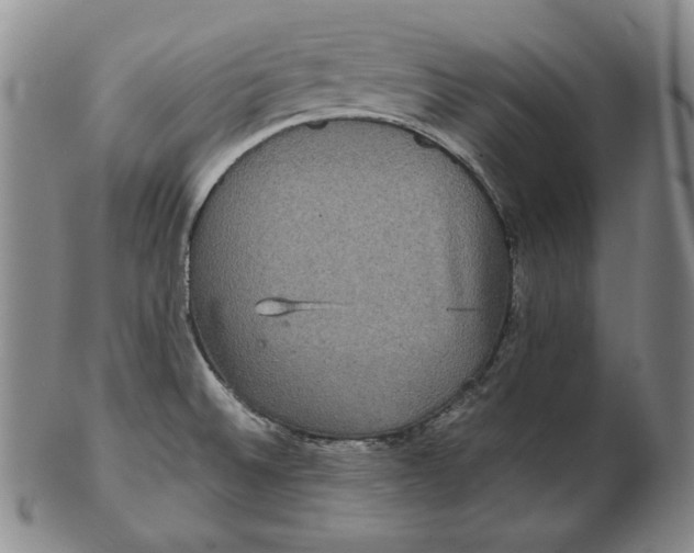 X0000102341524200808221619