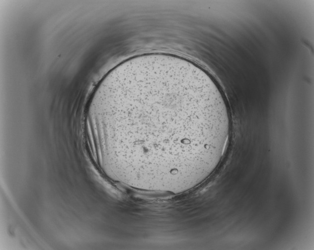 X0000102341525200808221619