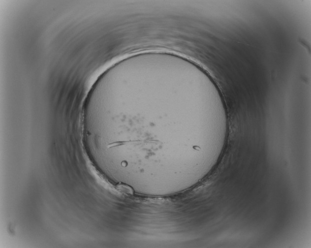 X0000102341526200808221619