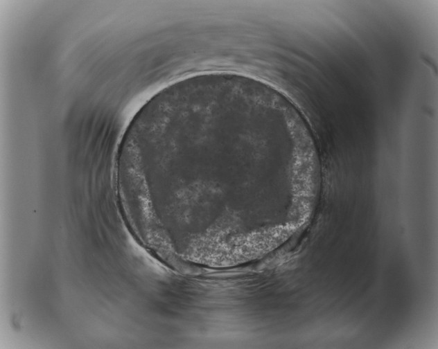 X0000102341527200808221619