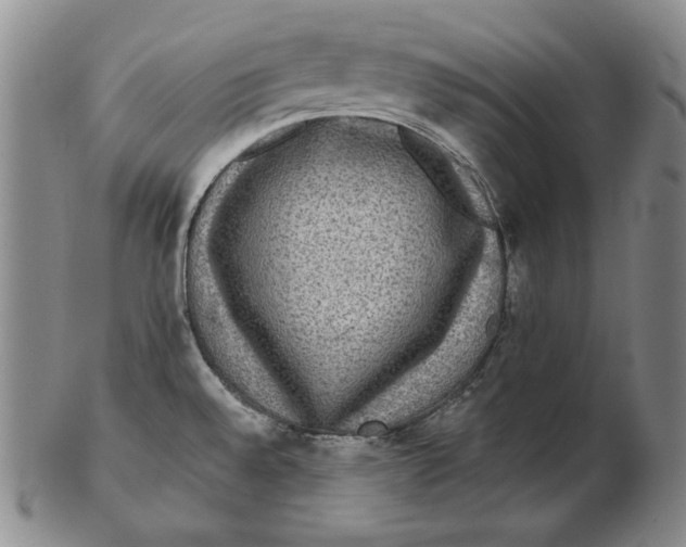 X0000102341528200808221619