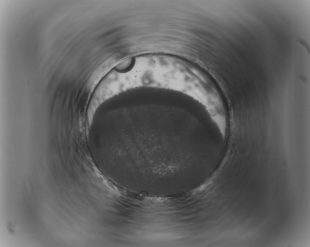 X0000102341529200808221620