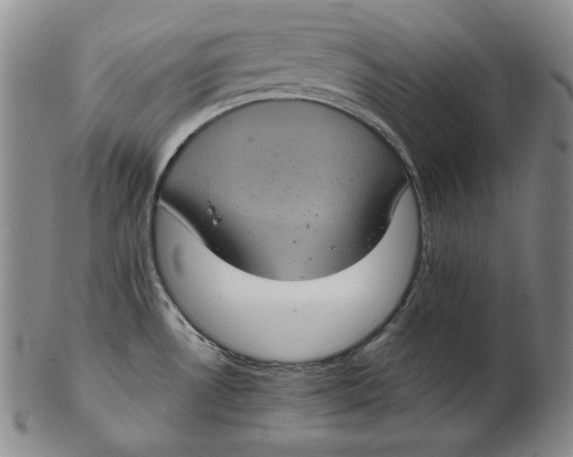 X0000102341530200808221620