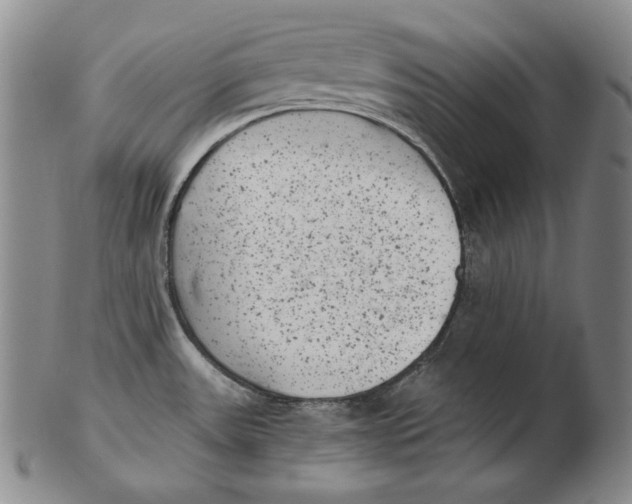 X0000102341531200808221620