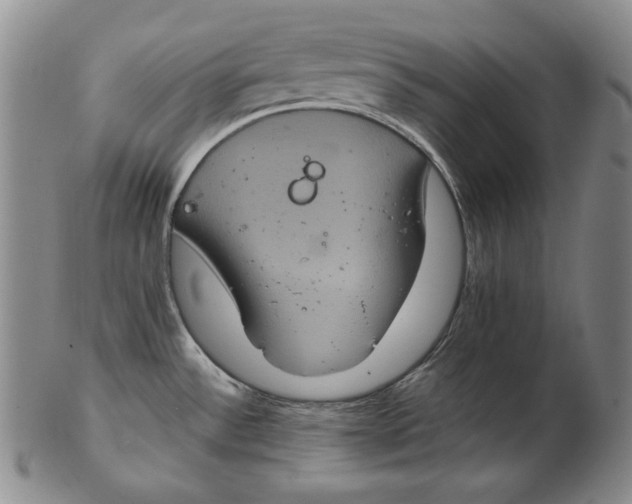 X0000102341532200808221620