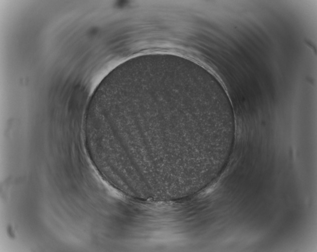 X0000102341533200808221620