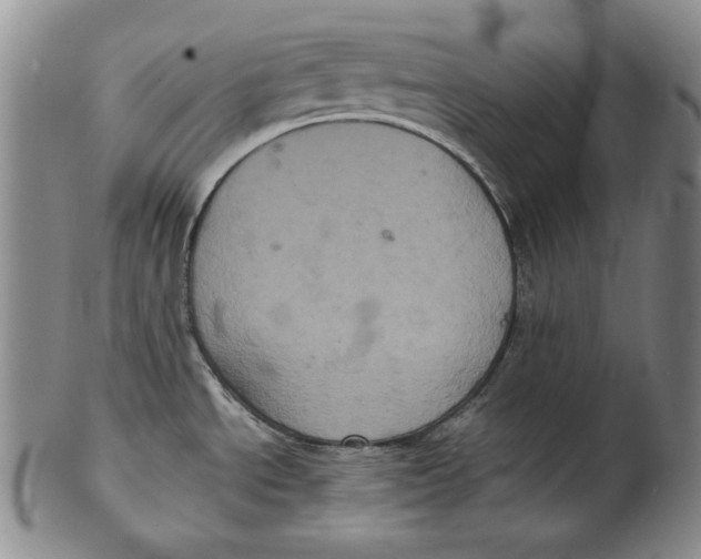 X0000102341534200808221620