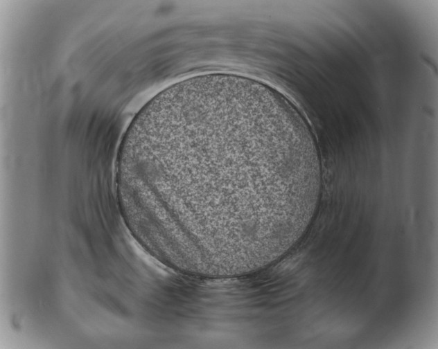 X0000102341535200808221620