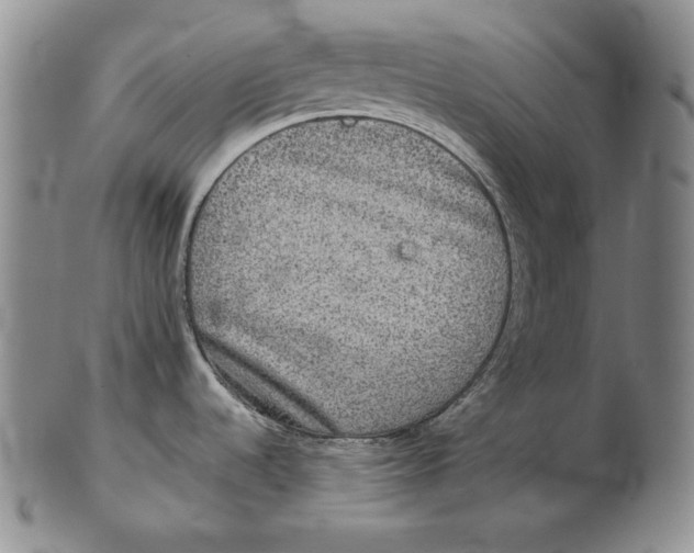 X0000102341536200808221620