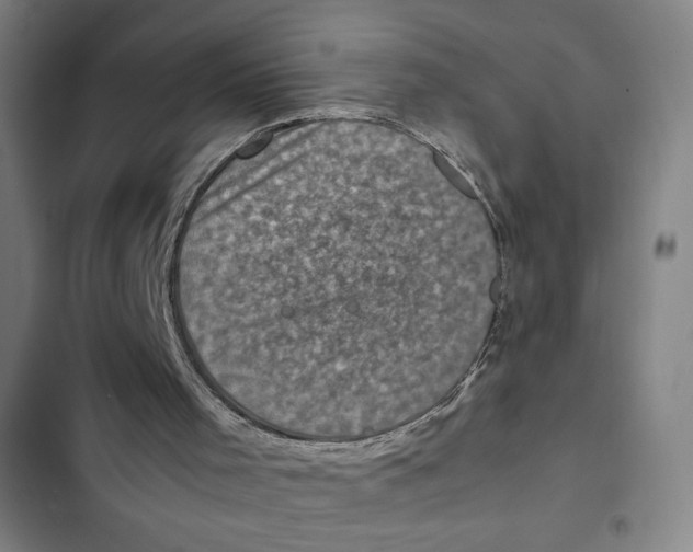 X0000102340001200808291148