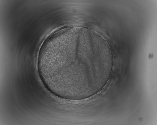 X0000102340002200808291148