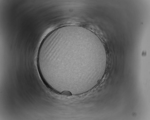 X0000102340003200808291148