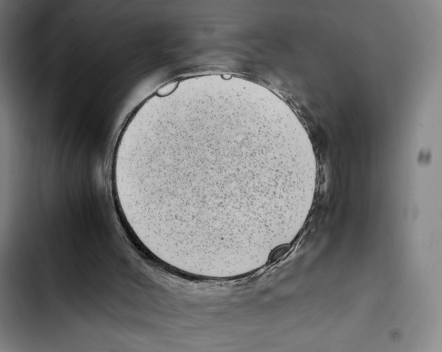 X0000102340004200808291148