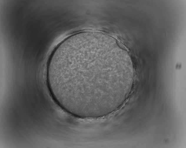 X0000102340005200808291148