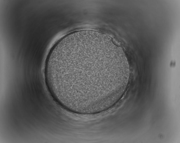 X0000102340006200808291148