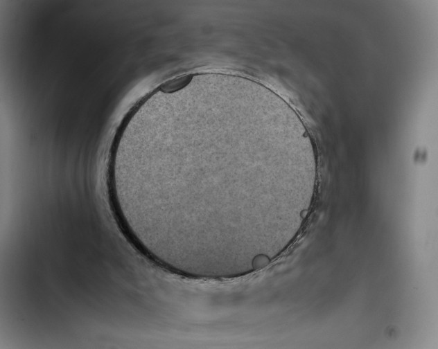 X0000102340007200808291148