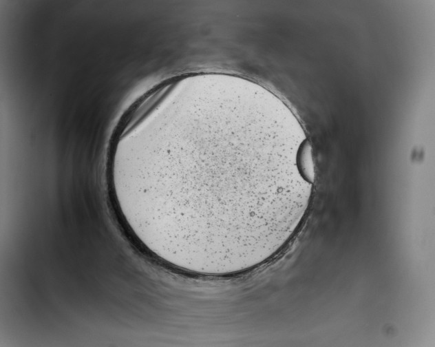X0000102340008200808291148