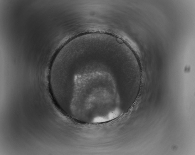 X0000102340009200808291148