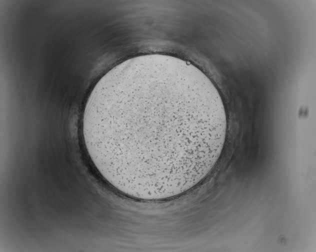 X0000102340010200808291148