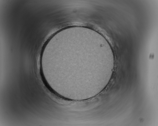 X0000102340011200808291148