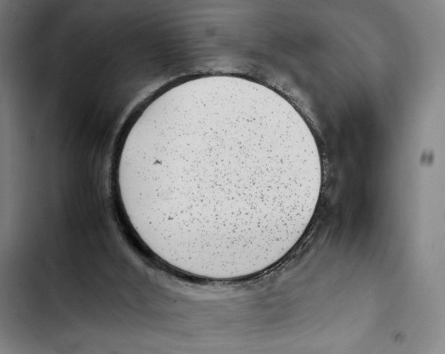 X0000102340012200808291148