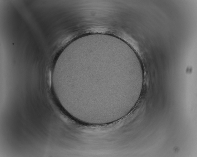 X0000102340013200808291148