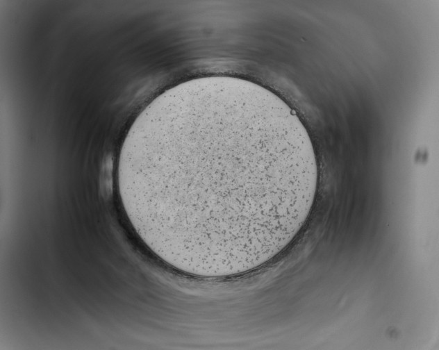 X0000102340014200808291148