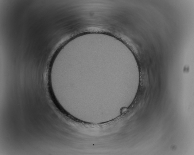 X0000102340015200808291148