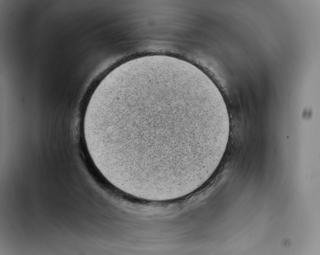X0000102340016200808291148