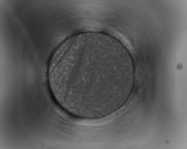 X0000102340017200808291148