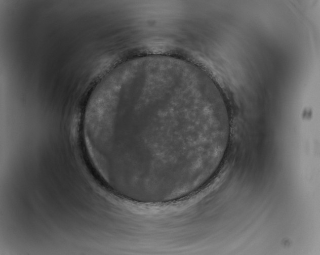 X0000102340018200808291148