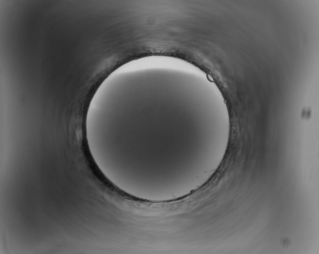 X0000102340019200808291148