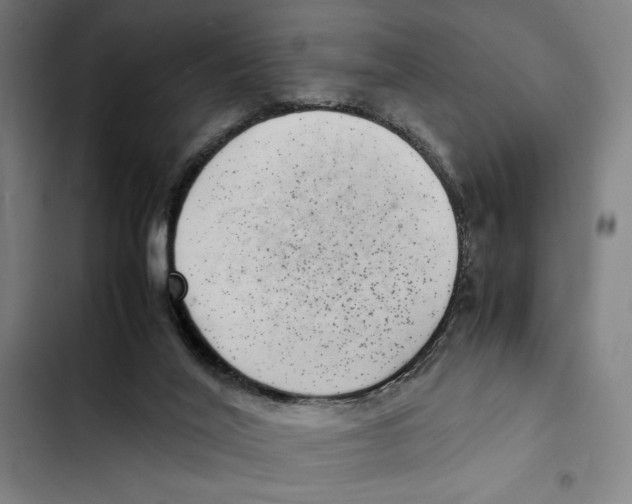 X0000102340020200808291148
