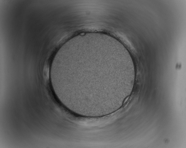 X0000102340021200808291148