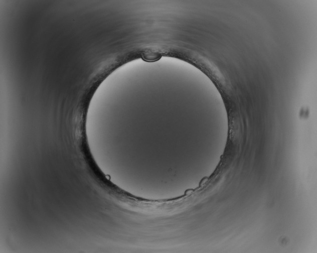 X0000102340023200808291148