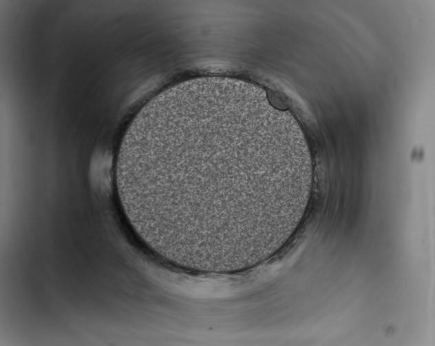 X0000102340024200808291148