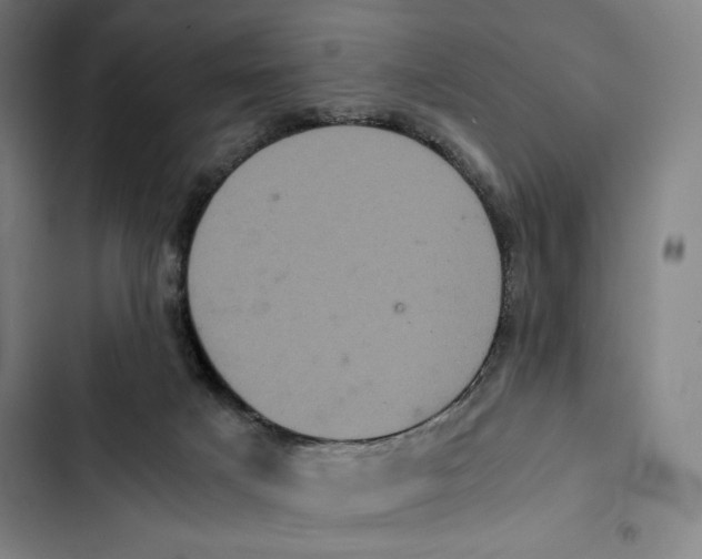 X0000102340025200808291148
