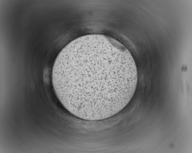 X0000102340026200808291148