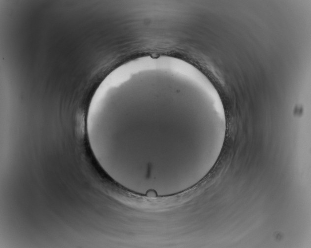 X0000102340027200808291148